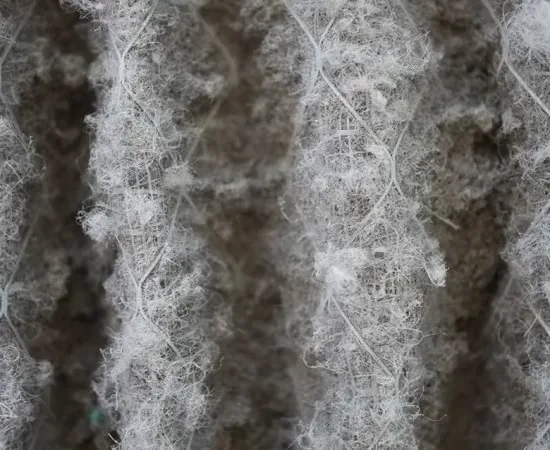 a close up of white fibers
